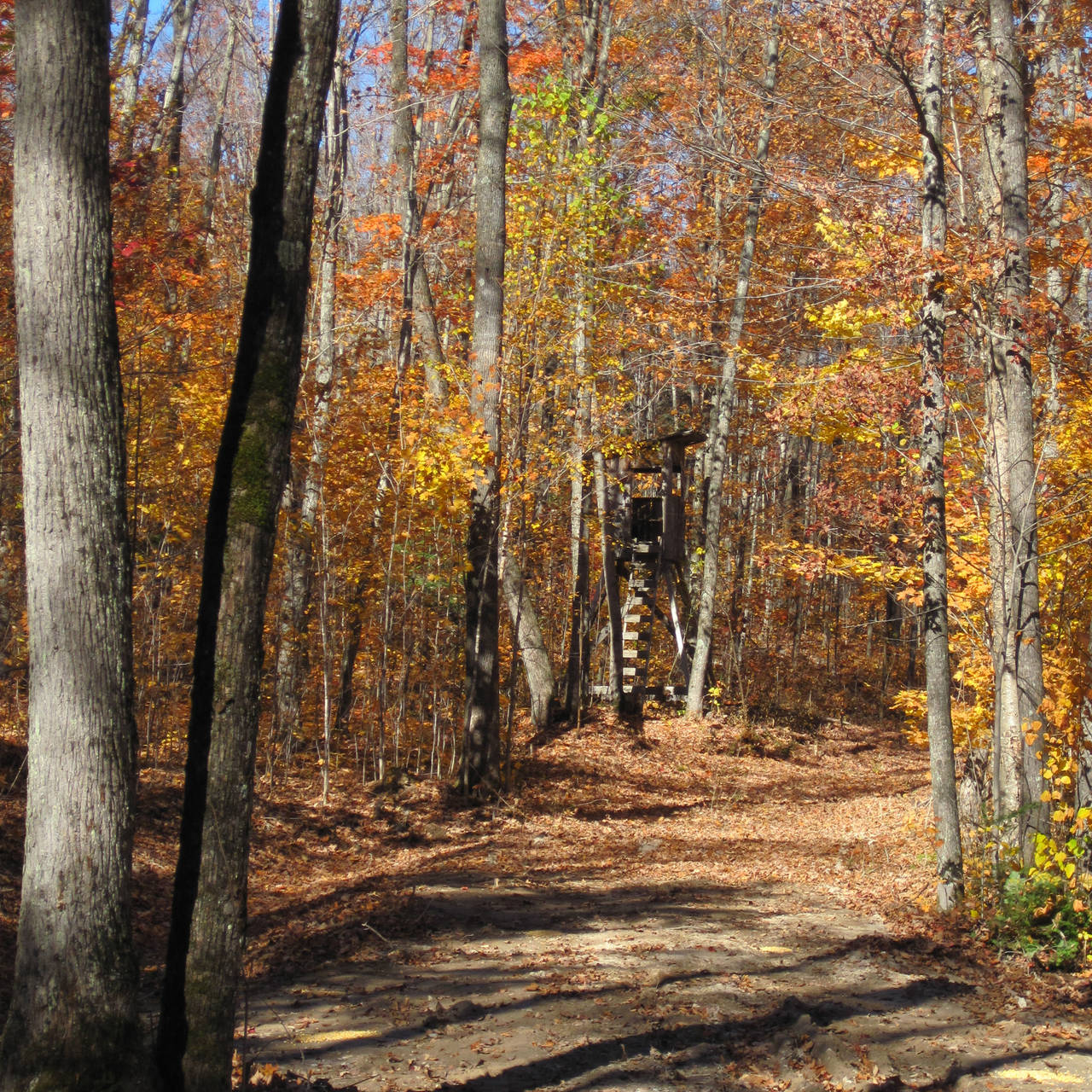 Brownlee Lake Park, Thessalon, Ontario, Canada Cottage Rentals and